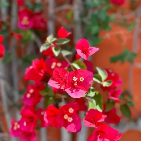 Relais San Damian 4*