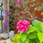 Relais San Damian شقة فندقية إمبيريا