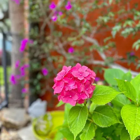 Relais San Damian Apartmanhotel Imperia