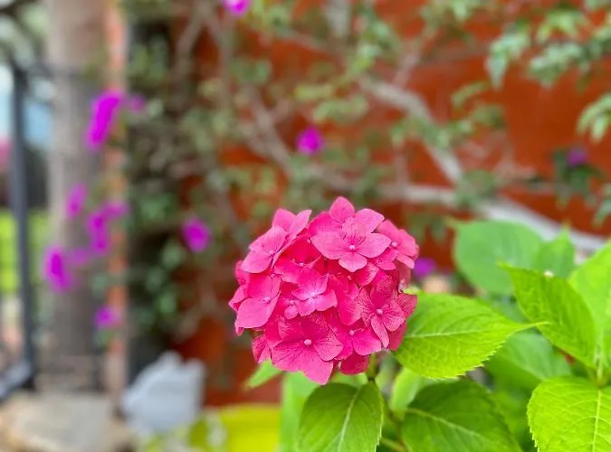 Relais San Damian Ξενοδοχείο με διαμερίσματα Imperia